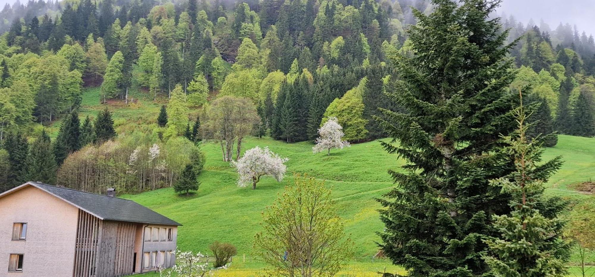 Haus Luise Hotel Bad Hindelang Exterior foto